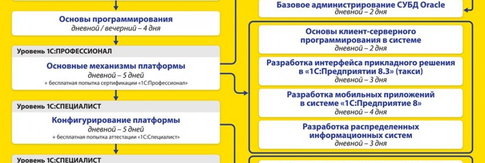 Курсы Программирования для Начинающих